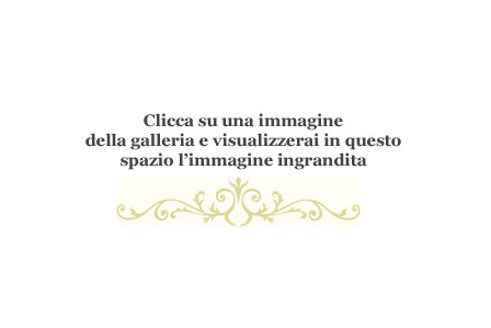 immagine ingrandita immagine di dettaglio