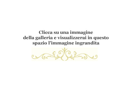 immagine di dettaglio